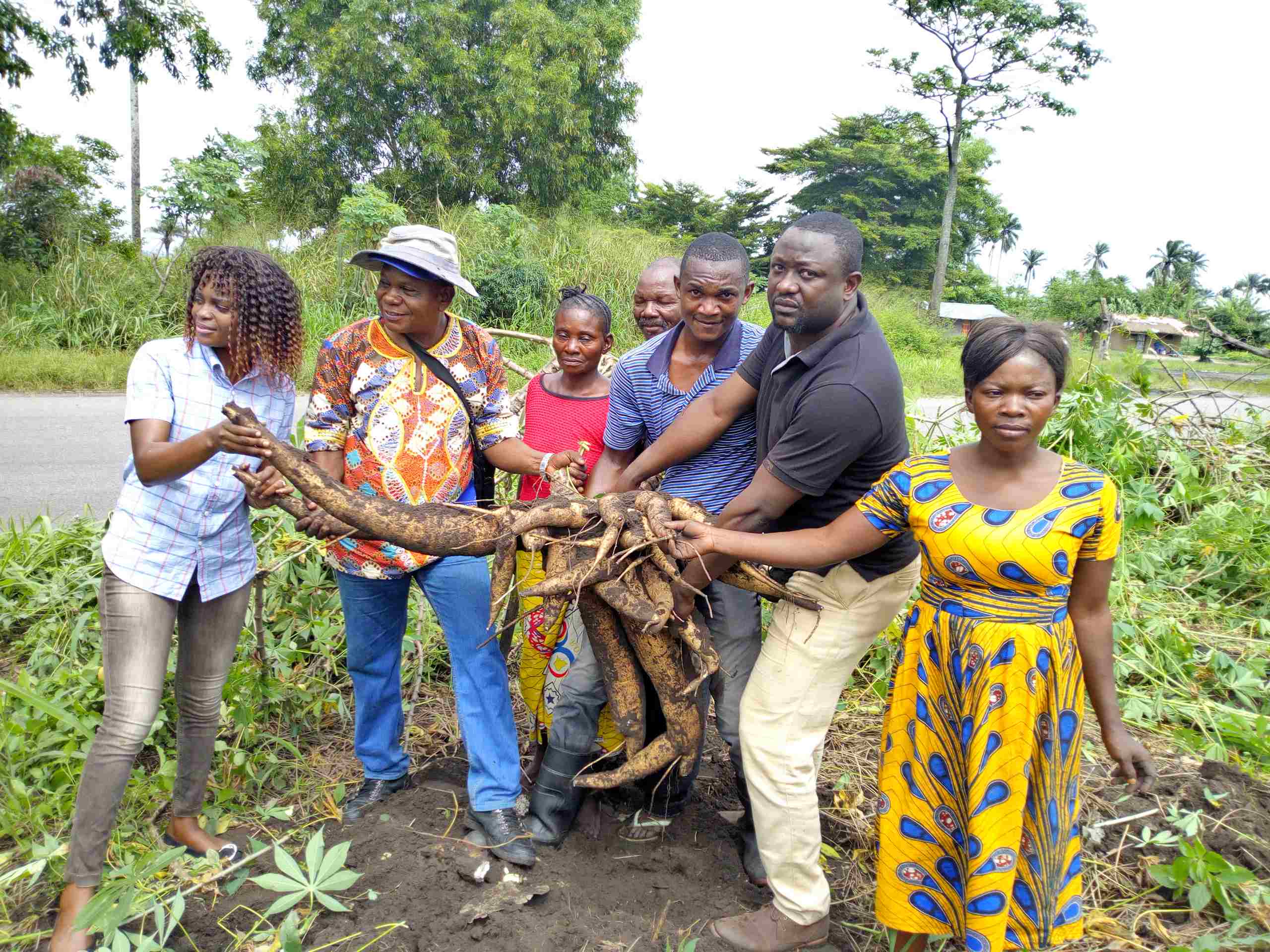 Produits transformés