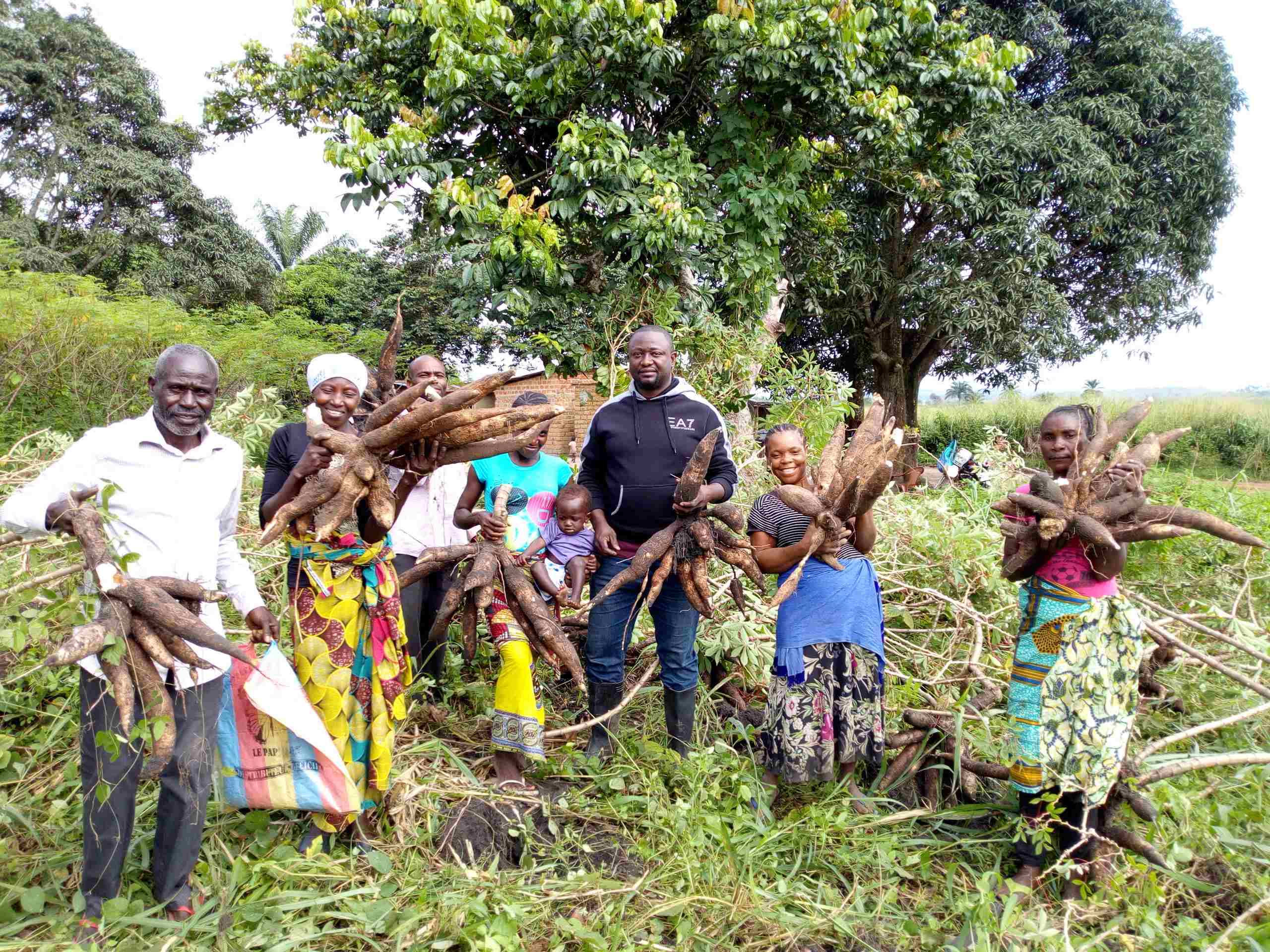 Photo principale du projet